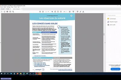 capture d'écran du webinaire 